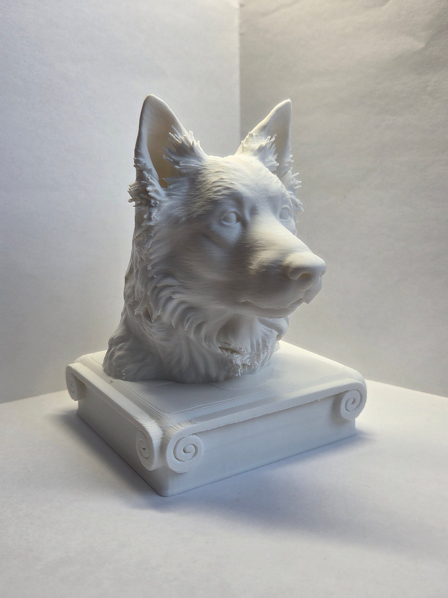 Bust
