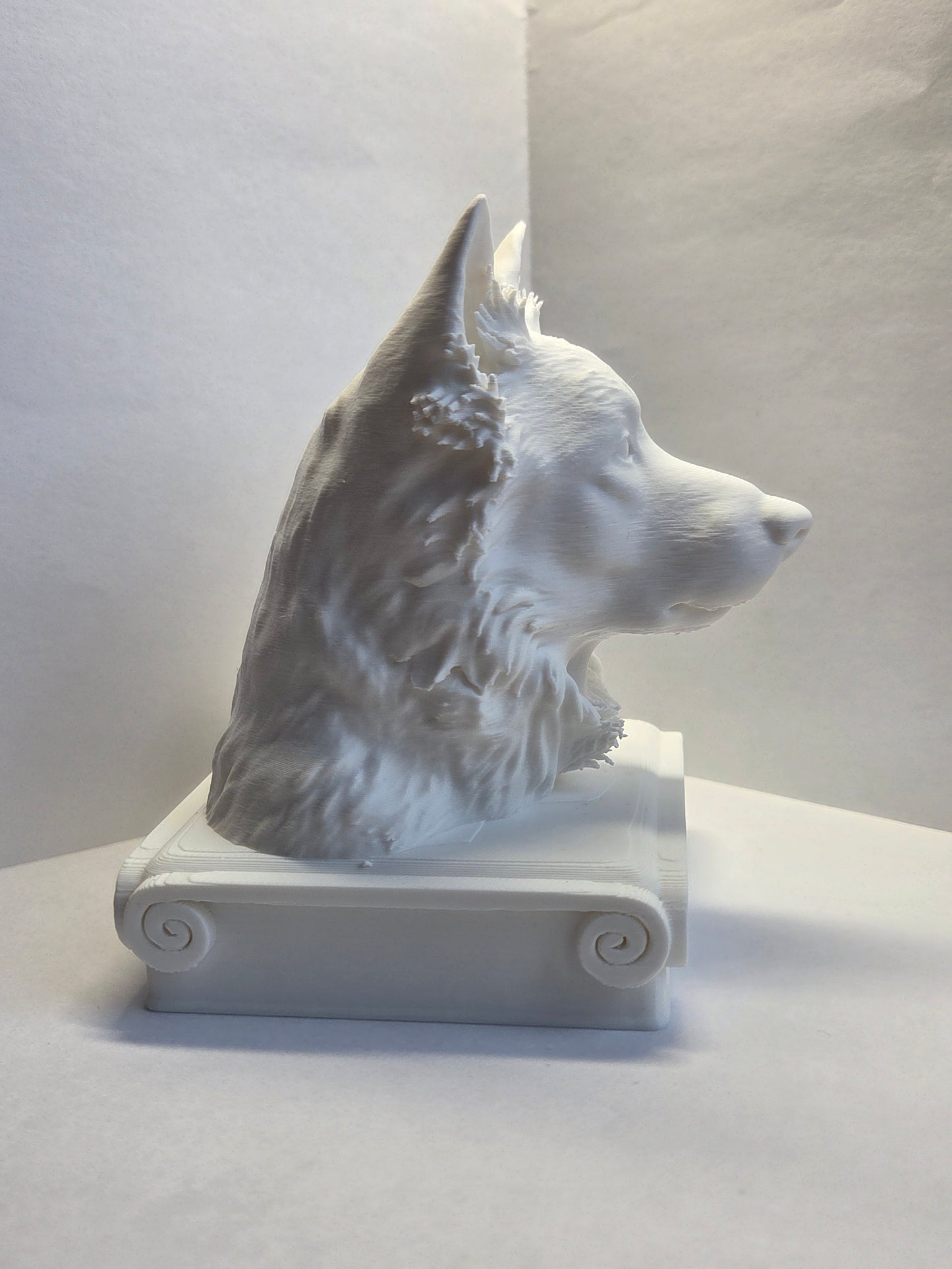 Bust