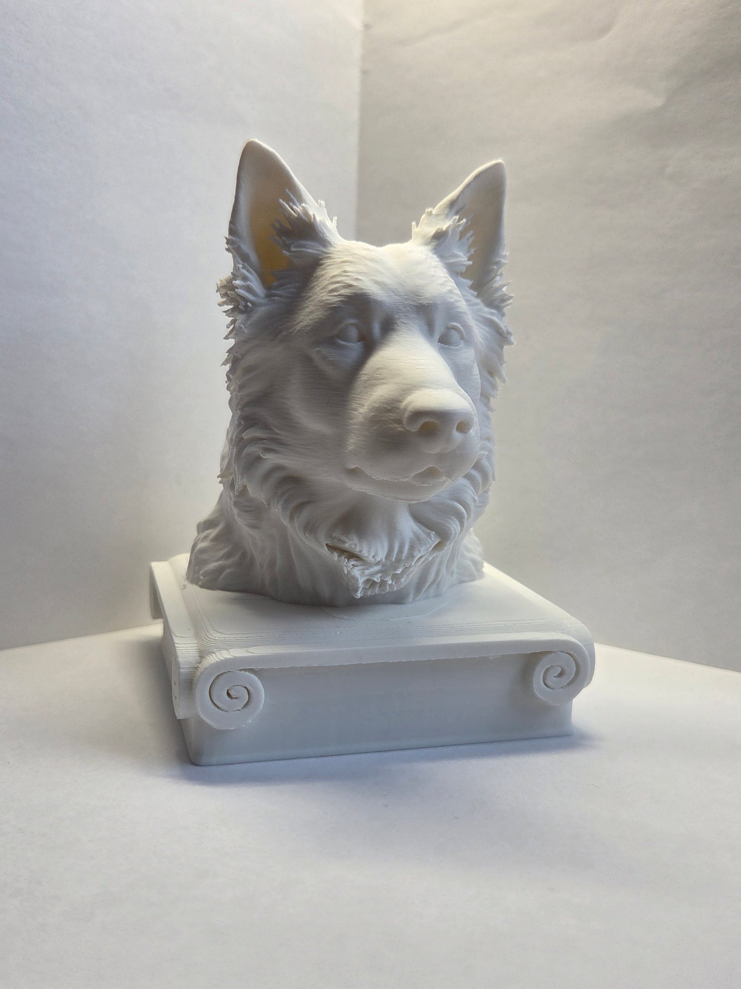 Bust