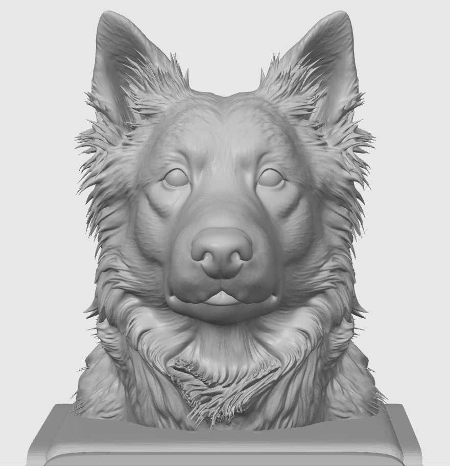 Bust